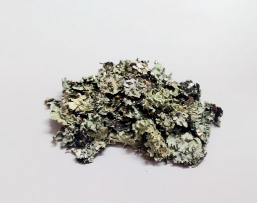 stone flower